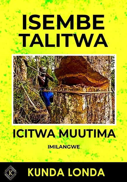 Isembe Talitwa book cover