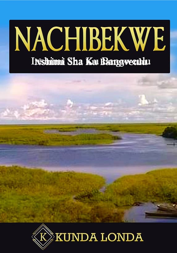 Nachibekwe book cover